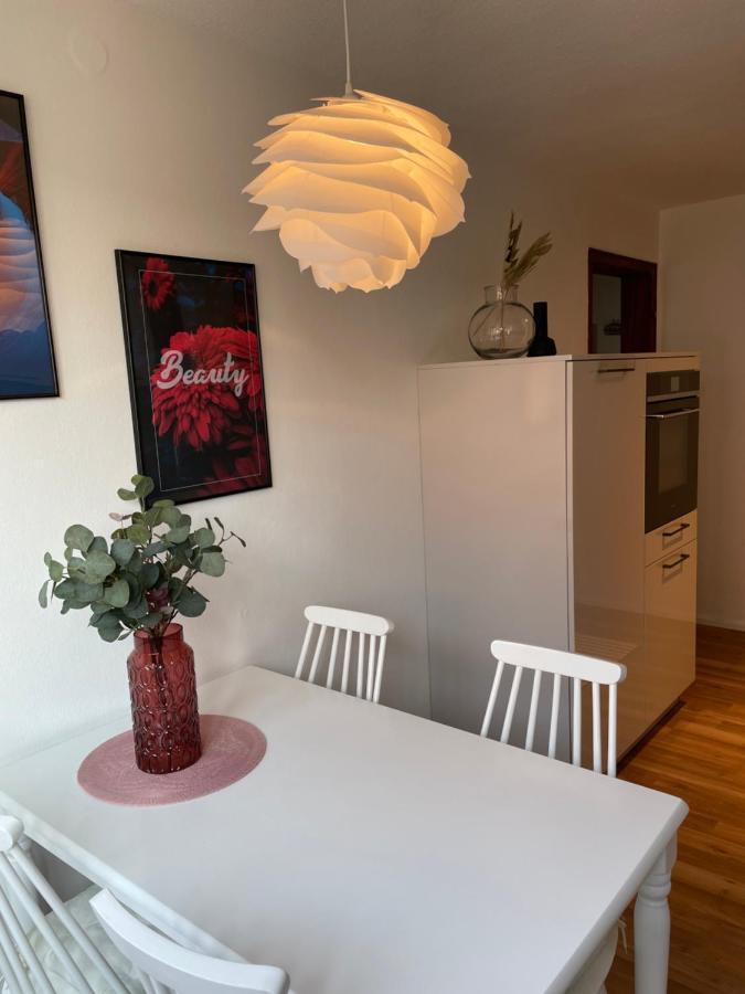 Cityapartments Schanze 17 Im Zentrum Von Friedrichshafen Luaran gambar